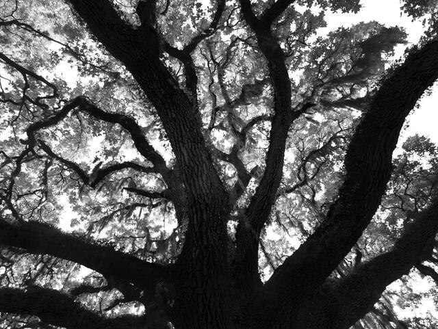 Thumbnail for original image