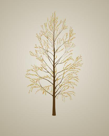 Thumbnail for original image