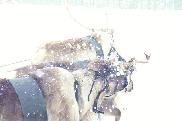 Thumbnail for original image