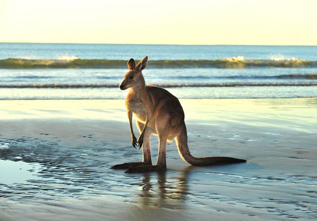 Thumbnail for original image