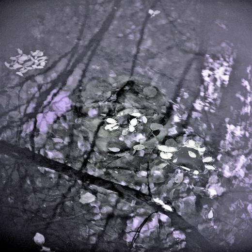Thumbnail for original image