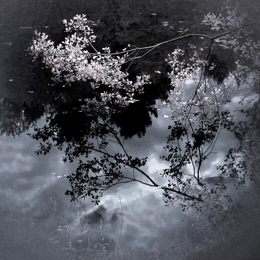 Thumbnail for original image