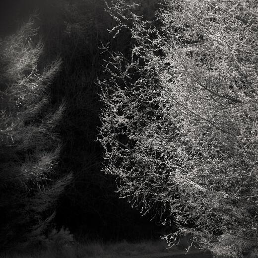 Thumbnail for original image