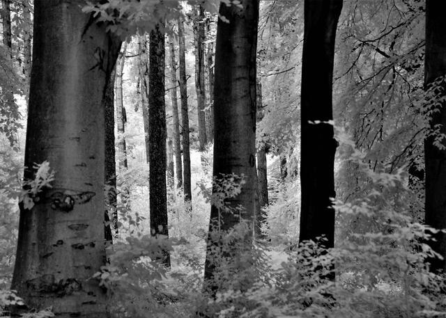 Thumbnail for original image
