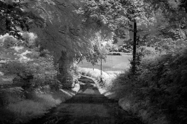 Thumbnail for original image