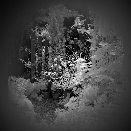 Thumbnail for original image