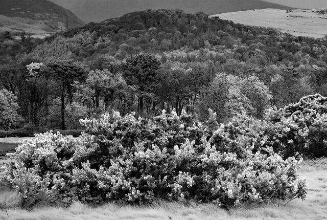 Thumbnail for original image