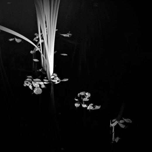 Thumbnail for original image