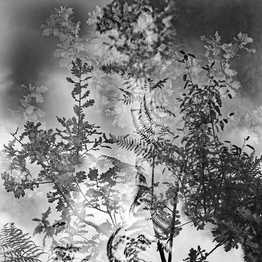 Thumbnail for original image
