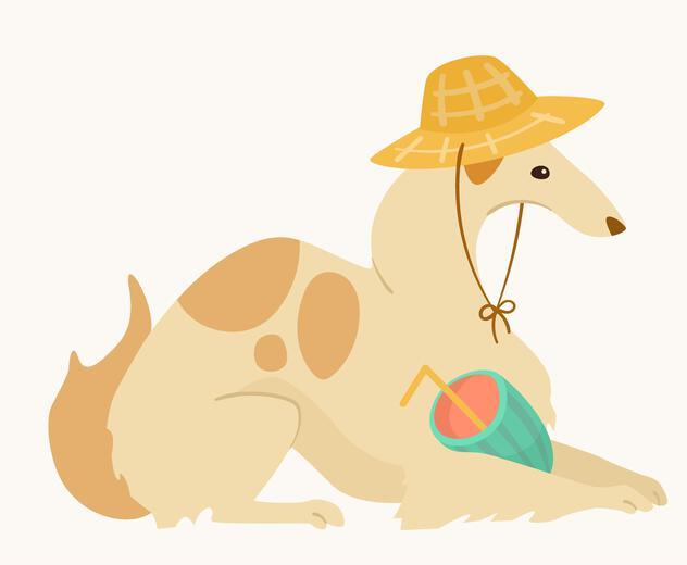 Thumbnail for original image