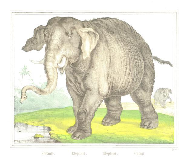Thumbnail for original image