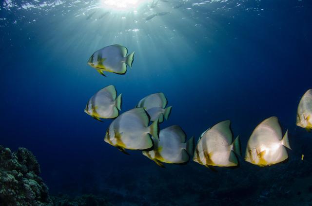 Thumbnail for original image