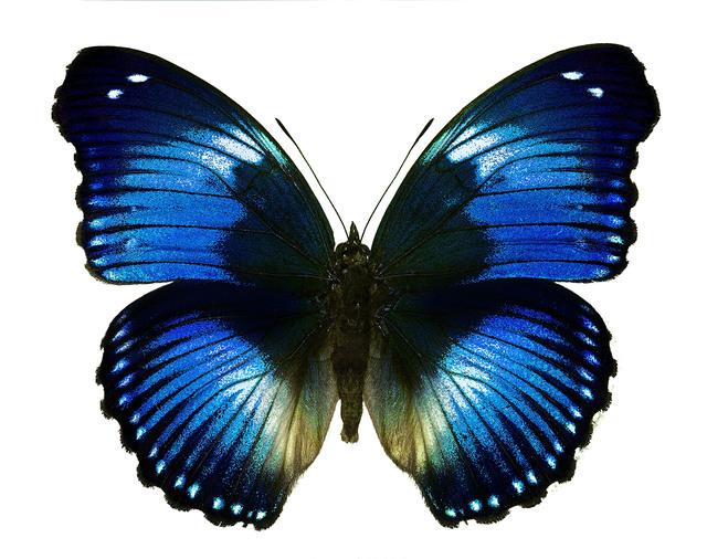 Thumbnail for original image