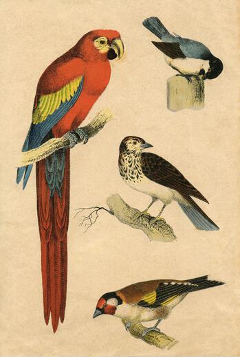 Thumbnail for original image