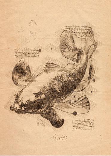 Thumbnail for original image