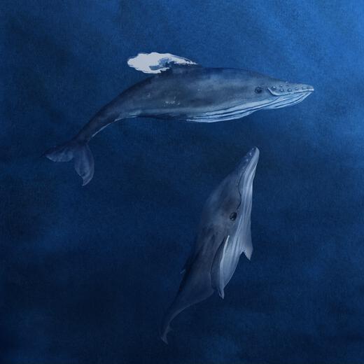 Thumbnail for original image