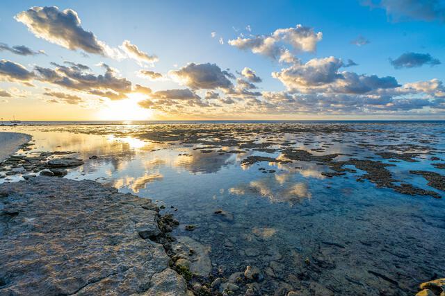 Thumbnail for original image