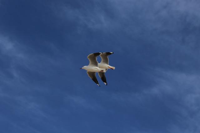 Thumbnail for original image