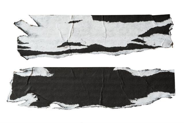 Thumbnail for original image