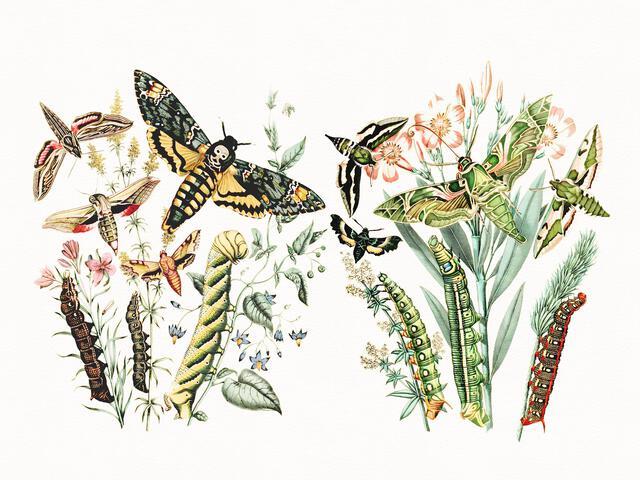 Thumbnail for original image