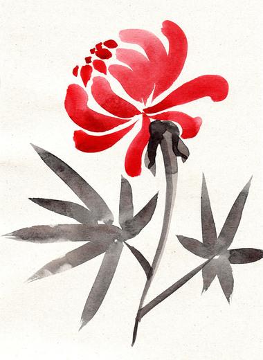 Thumbnail for original image