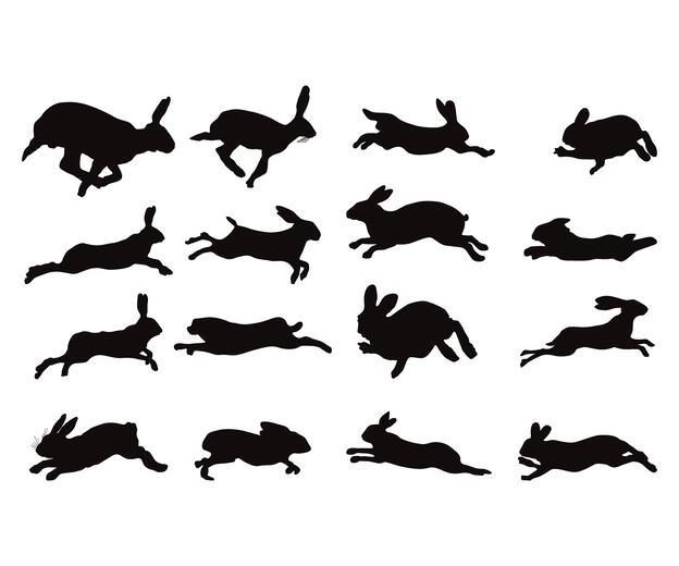 Thumbnail for original image