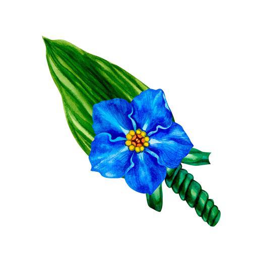 Thumbnail for original image