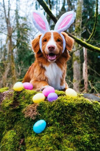 Thumbnail for original image