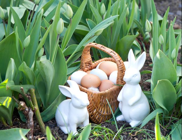 Thumbnail for original image