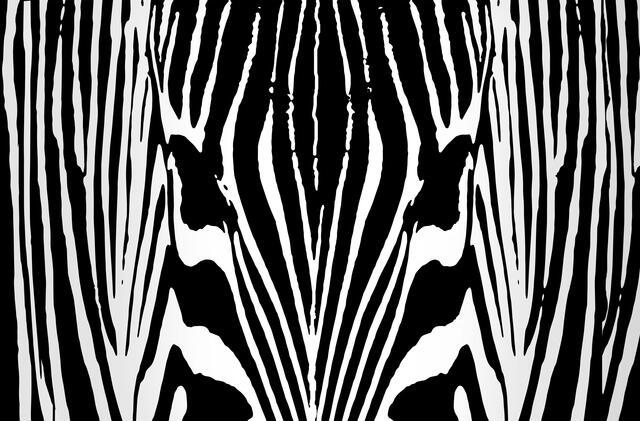 Thumbnail for original image