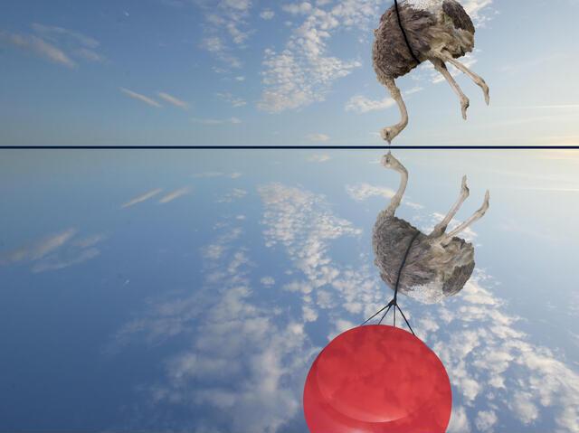 Thumbnail for original image
