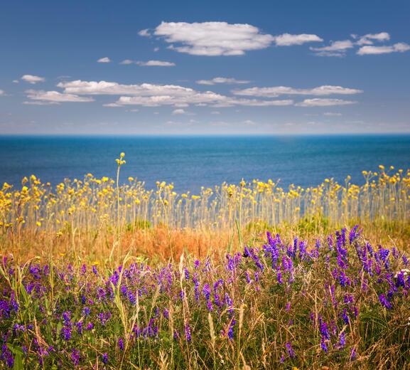 Thumbnail for original image