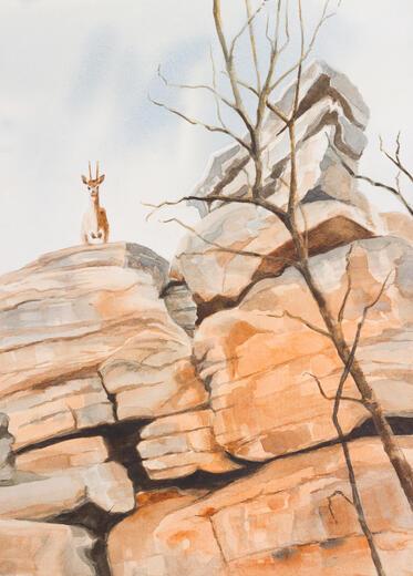 Thumbnail for original image