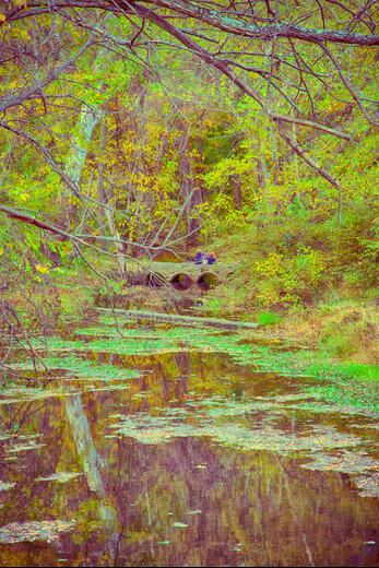 Thumbnail for original image