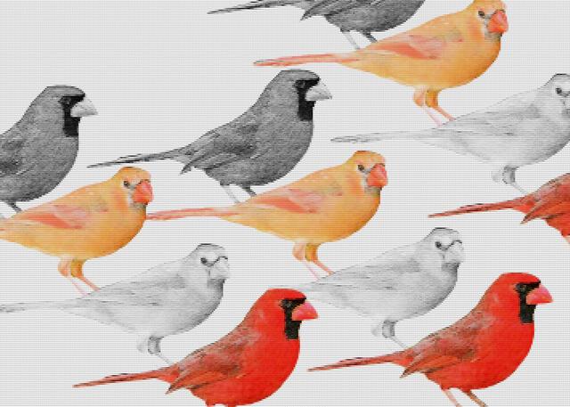 Thumbnail for original image